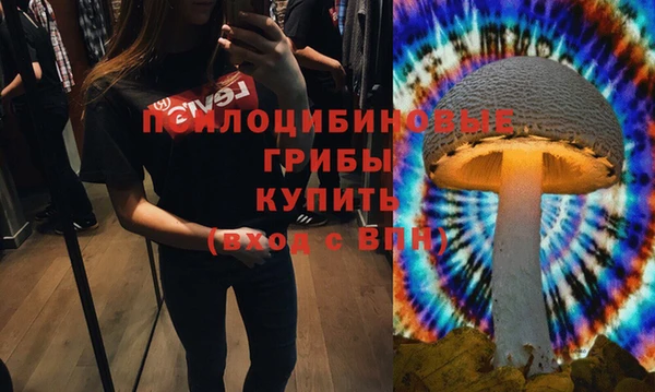 дурь Богородск