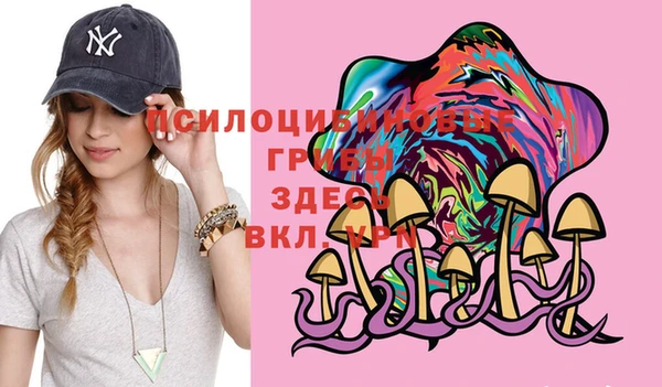 шишки Богородицк