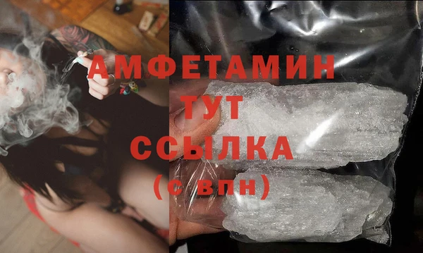 шишки Богородицк