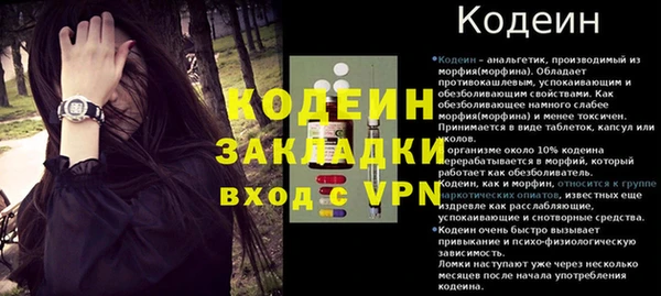 шишки Богородицк