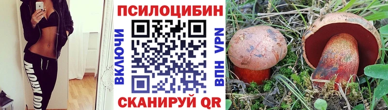 купить наркотик Полесск сайты даркнета официальный сайт Галлюциногенные грибы MAGIC MUSHROOMS